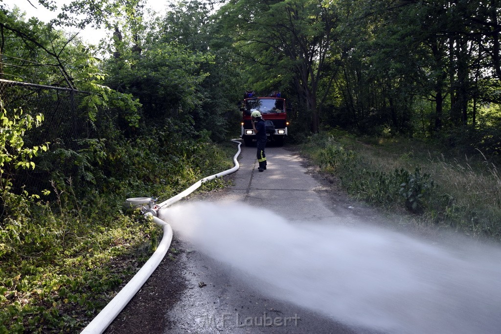 Waldbrand Koeln Hoehenhaus Hoehenfelder Mauspfad P027.JPG - Miklos Laubert